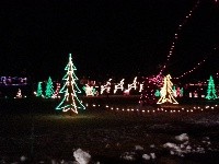 Holiday Lights in Tillies Park